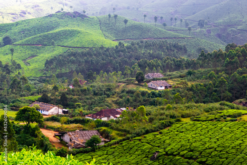 Spectacular Top View of Mountain Hill Munnar