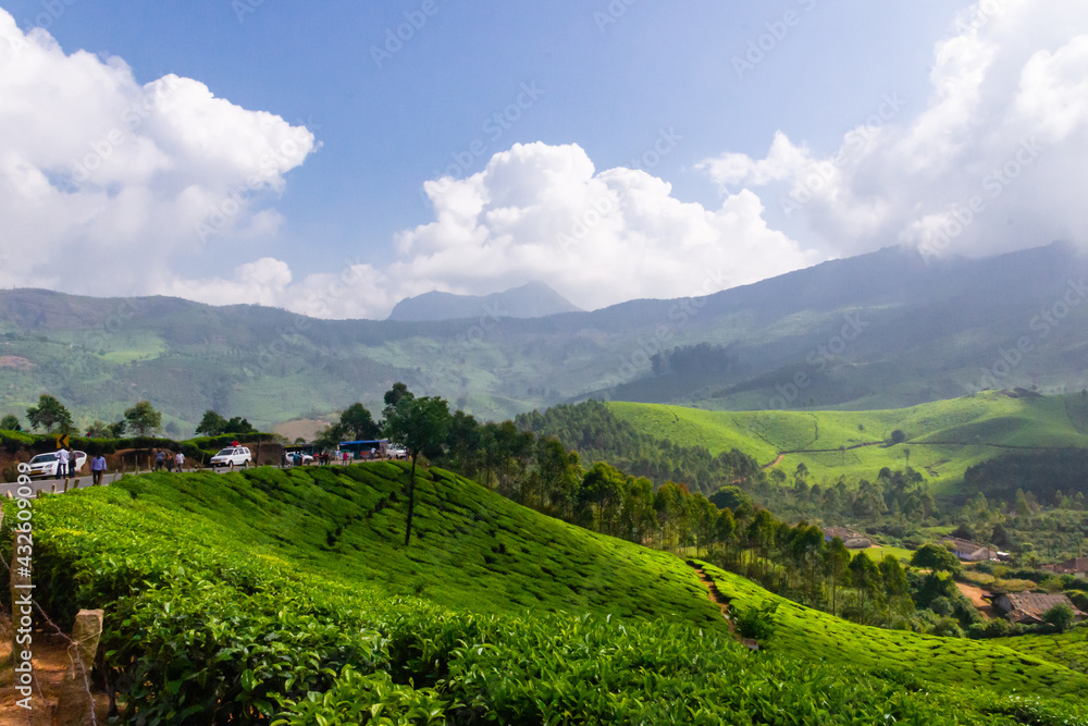 Stunning Tea Plantation Slopes in Mountain Hill Munnar