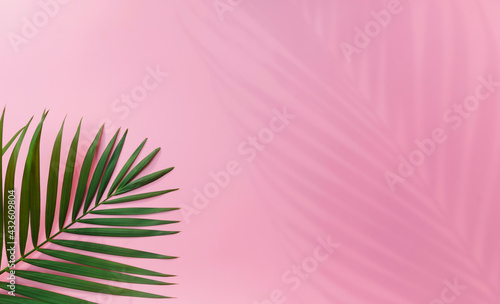 Tropical leaves is placed on a pink background with part of the leaf layout and copy space.