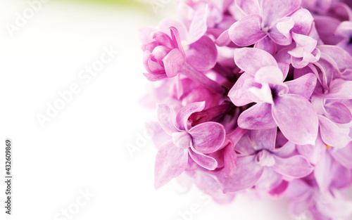Banner Blooming sprig of lilac flowers on light background, top view, copy space
