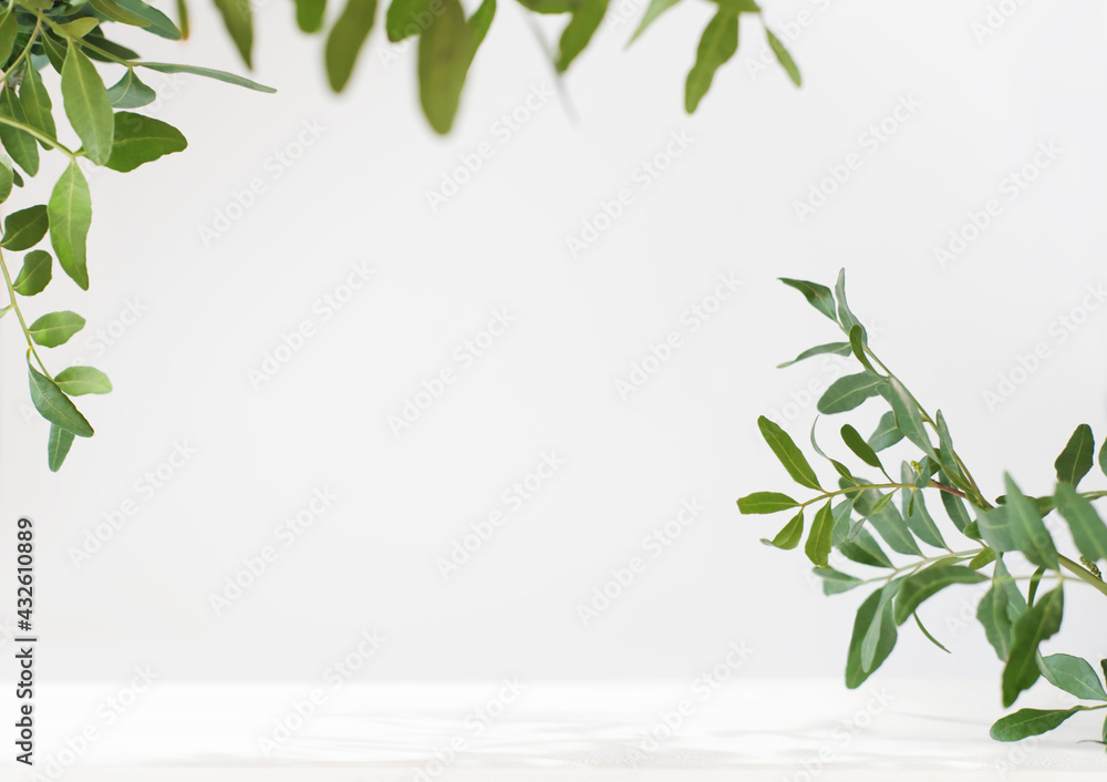 green leaves and branches mock up. white table with copy space for product placement. natural and eco concept. eucaliptus leaves green leaves and branches mock up. white table with copy space for product placement. natural and eco concept. eucaliptus leaves
