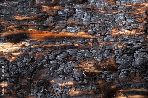 Burnt texture wood charcoal background. coal hardwood