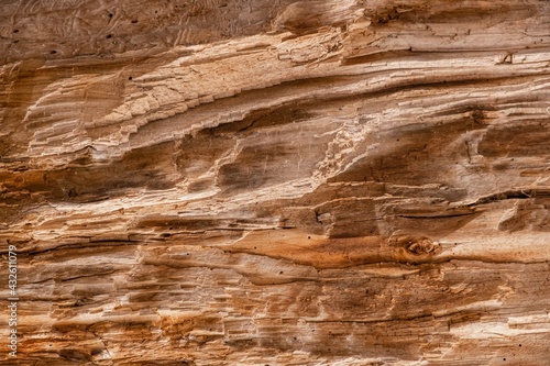 Old wooden background texture plank. surface © bravissimos