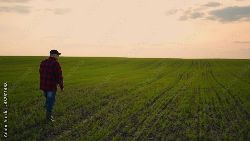 Senor a male farmer goes to the field during a drought inspecting the fields. Farmer wiping off sweat from forehead while walking on the field at sunset. Follow to male farmers feet in boots walking Senor a male farmer goes to the field during a drought inspecting the fields. Farmer wiping off sweat from forehead while walking on the field at sunset. Follow to male farmers feet in boots walking