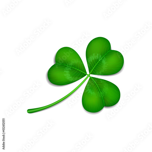 Three leaf clover on a white background. Vector illustration.
