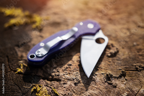 Foldable pocket knife on wooden stem