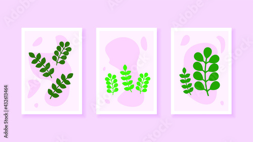 Set Abstract Collection Contemporary Vector Botanical Floral Plants Desgin Doodle Elements Posters Minimal Natural