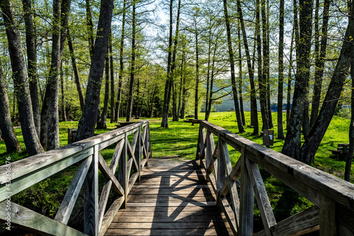 passerelle pietonne en bois