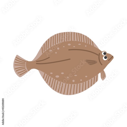 カレイのイラスト