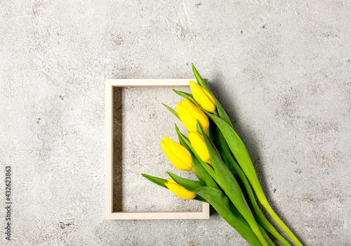 Fresh yellow tulip flowers on ultimate gray wall