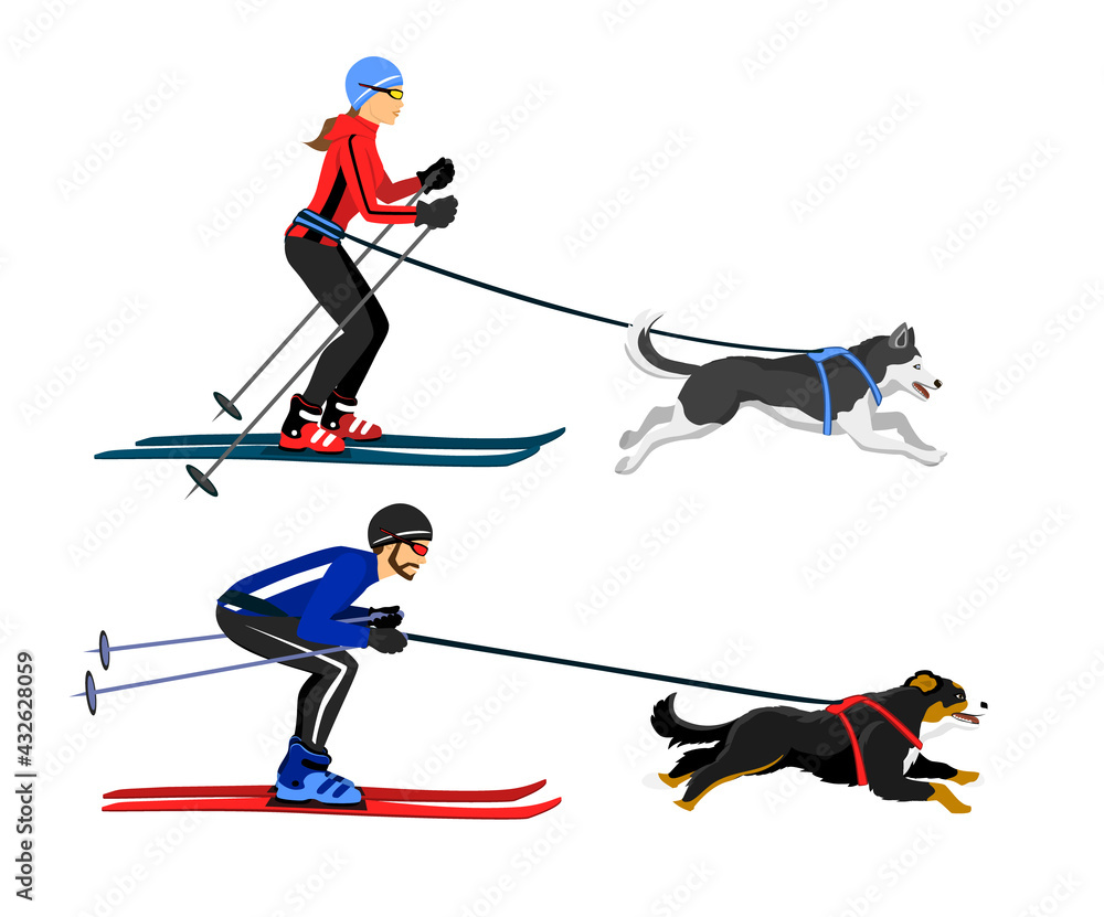 Couple, Man and Woman skijoring with their dogs vector illustration. Outdoor winter activity