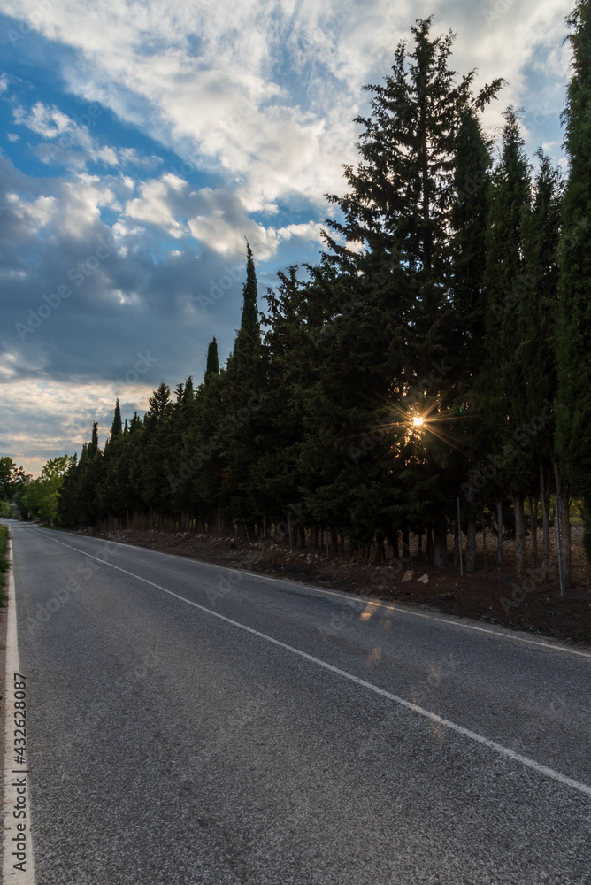 Naklejka premium Lonely empty road lined with trees with the sun shining through the branches.