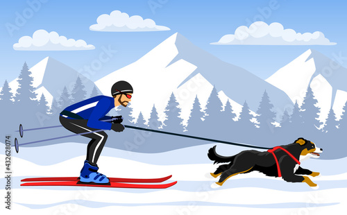 Man Skijoring with his dog bernese in mountains