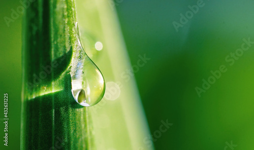 Foto Beautiful water drop sparkle on a blade of grass in sunlight, macro
