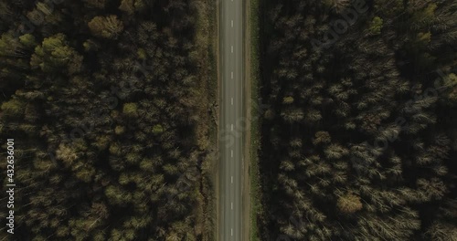 Empty road endless asphalt straight freeway in green dense forest. Aerial top down view, Highway trip without cars at spring sunset