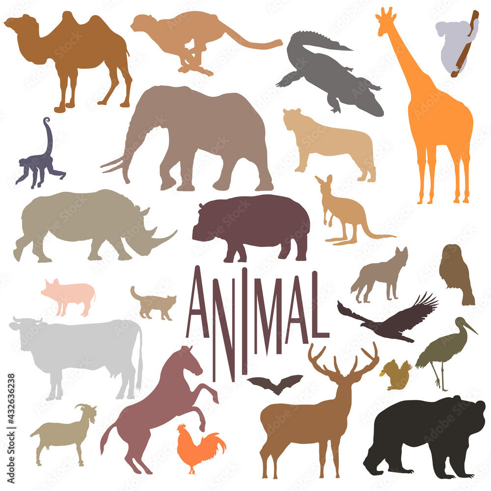 Fototapeta premium all the more animal, animal world