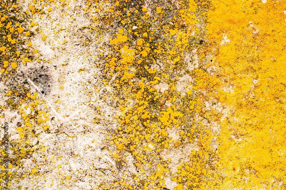 Texture of a concrete wall with cracks and scratches which can be used as a background Texture of a concrete wall with cracks and scratches which can be used as a background