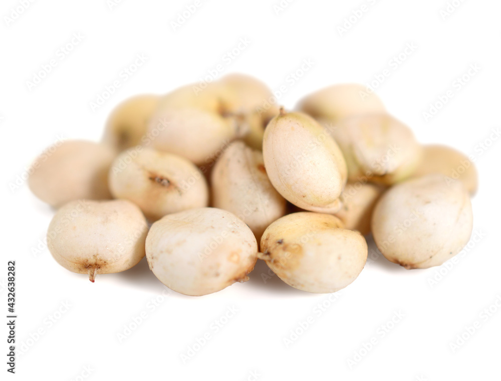 Sorghum (Soriz, Sorgus) Seeds. Isolated on White. Sorghum (Soriz, Sorgus) Seeds. Isolated on White.