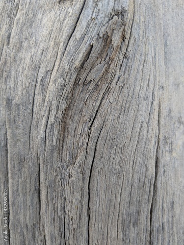 old wood texture