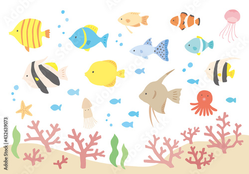 いろんな熱帯魚とサンゴの手描きイラストセット（カラー/輪郭線なし）