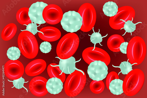 Erythrocytes, leukocytes, platelets. Red blood cells. Image under a microscope. Composition of human blood. Vector illustration.