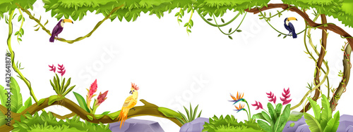 Jungle liana vector frame, tropical vine, tree illustration isolated on white, parrot, toucan, stone, bushes. Exotic game environment background, paradise flowers, vegetation. Rainforest jungle frame