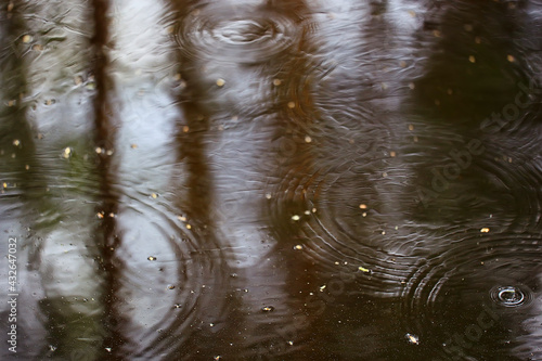 rain puddle circles, aqua abstract background, texture autumn water © kichigin19