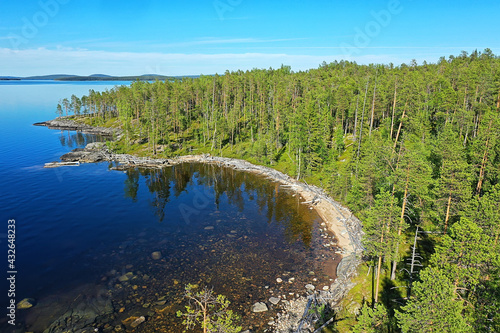 forest lake top view, landscape nature view forest, background