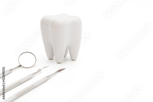 dental care set tooth model  on white