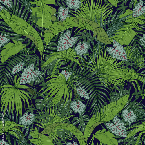  leaves of tropical plants and palm trees  seamless