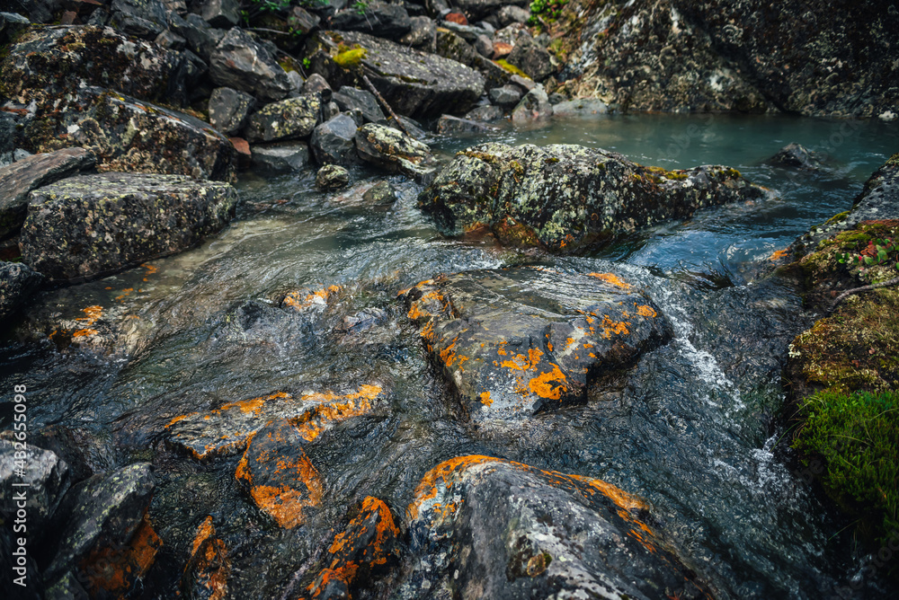 Scenic nature background of turquoise clear water stream among rocks with mosses and lichens. Atmospheric mountain landscape with mossy stones in transparent mountain creek. Beautiful mountain stream. Scenic nature background of turquoise clear water stream among rocks with mosses and lichens. Atmospheric mountain landscape with mossy stones in transparent mountain creek. Beautiful mountain stream.