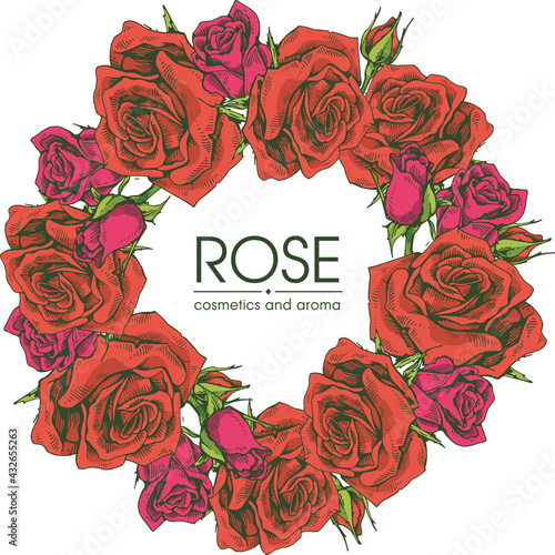 Frame with Roses . Detailed hand-drawn sketches, vector