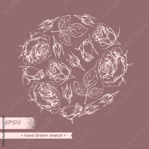 Circle filled Roses. Detailed hand-drawn sketches, vector