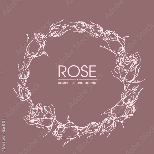 Frame with Roses . Detailed hand-drawn sketches, vector