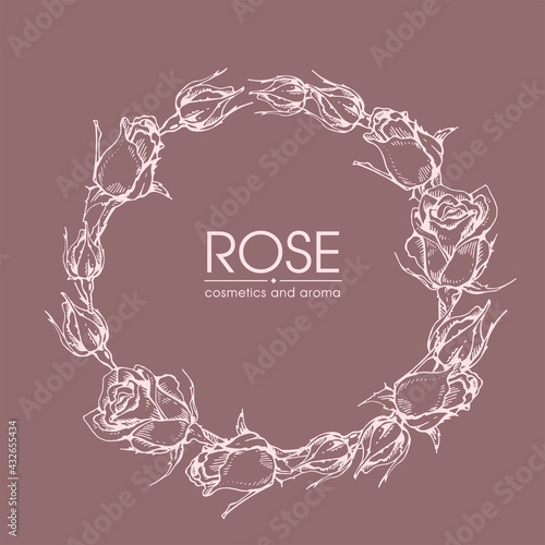 Frame with Roses . Detailed hand-drawn sketches, vector