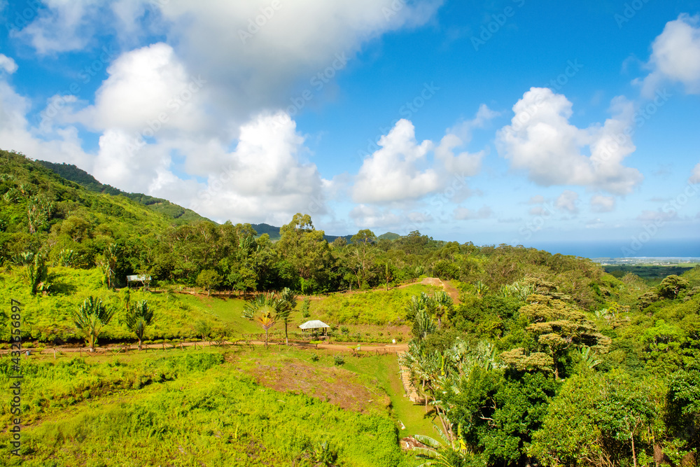 Landscape of Casela National Park in Mauritius island