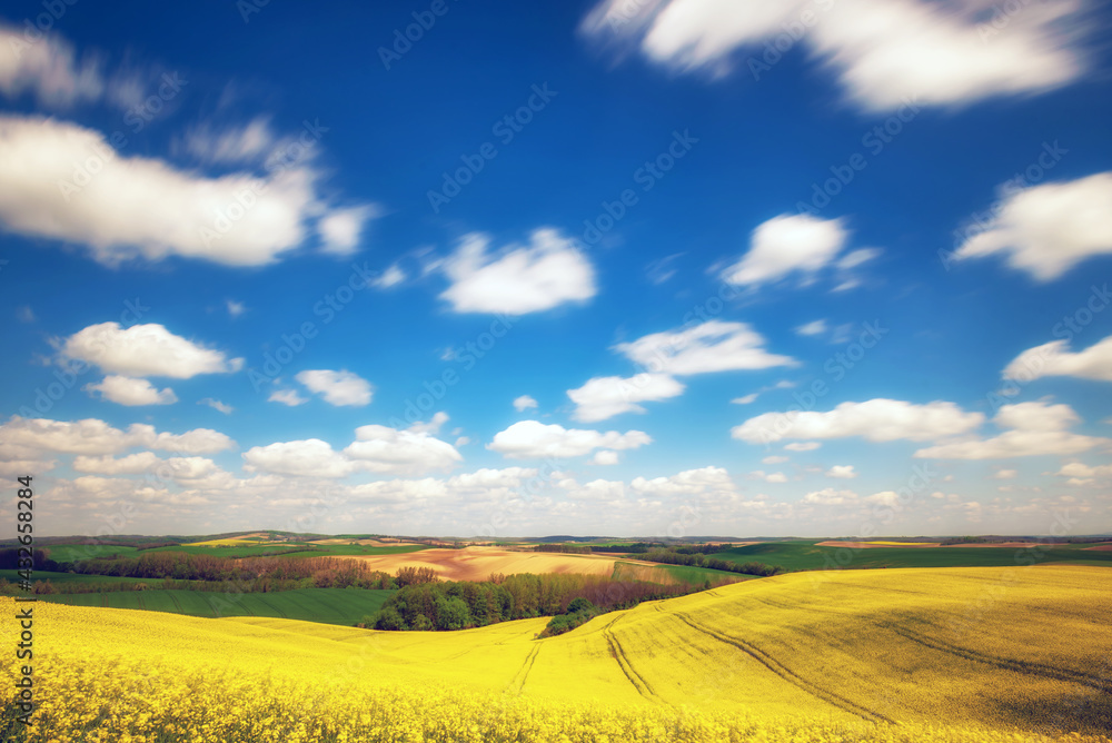 Landscape with yellow field and sky Landscape with yellow field and sky