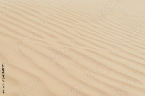 Background with sandy dunes. Desert life concept. Sand texture