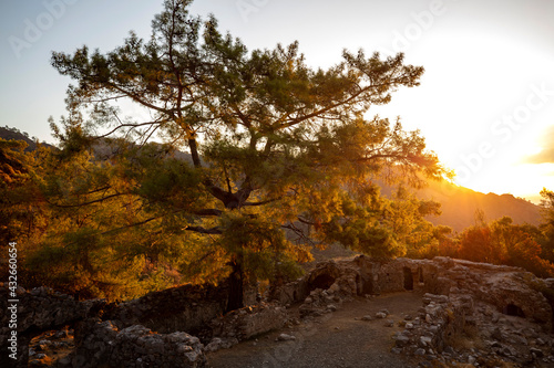 The Everlasting Fire of Olympos  Yanartas is a small  historical and touristic source of natural gas near the village of cirali in the Kemer district of Antalya.