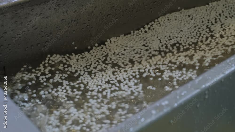 Waste plastic recycling machine: fast water flow with propylene or polyethylene pellets - recycled plastic granules: close up. Washing, protection, environmental, automated technology concept Waste plastic recycling machine: fast water flow with propylene or polyethylene pellets - recycled plastic granules: close up. Washing, protection, environmental, automated technology concept