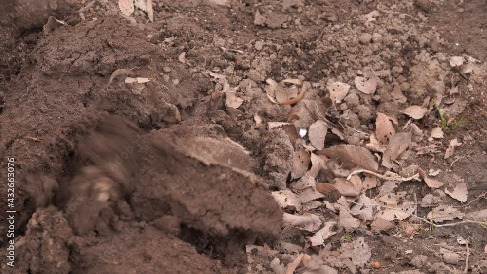 Traditional, artificially plowed land Traditional, artificially plowed land