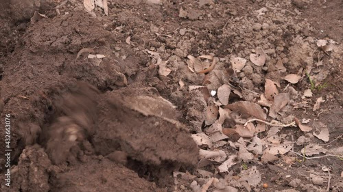 Wallpaper Mural Traditional, artificially plowed land Torontodigital.ca