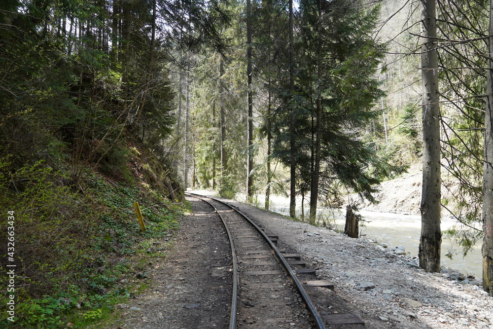 Railroad passes through a beautiful forest in the Carpathian mountains Railroad passes through a beautiful forest in the Carpathian mountains