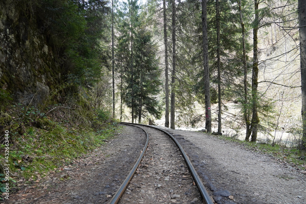 Obraz premium Railroad passes through a beautiful forest in the Carpathian mountains