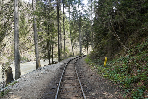 Railroad passes through a beautiful forest in the Carpathian mountains