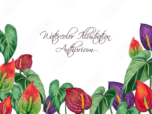 Hand painting watercolor illustrationinspired by anthurium and caladium and peace lily plants greeting template layout frame photo