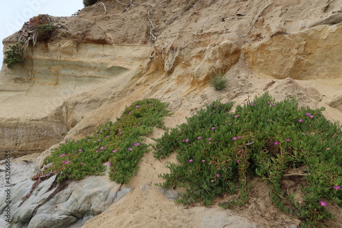 Φωτογραφία Scripts Rock Formation Showing Erosion from the Waves and Wind being Stabilized