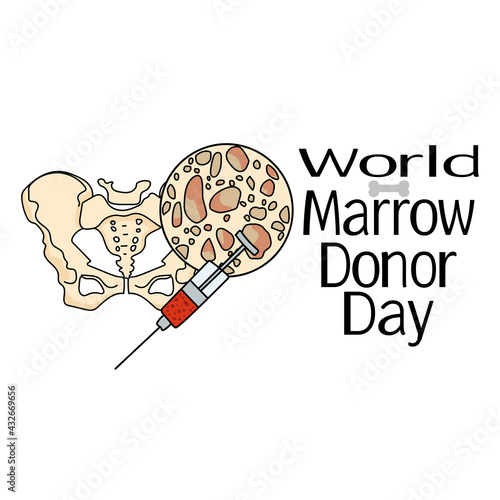 World Marrow Donor Day, Schematic representation of bone marrow and bone tissue, for poster or banner