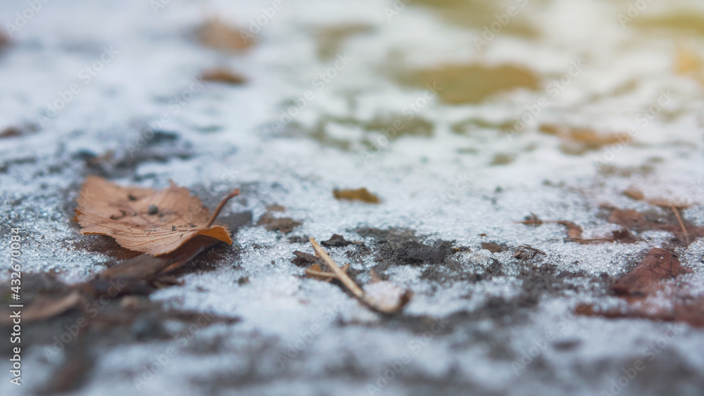 Fallen leaves lie on wet ground. Thin snow covers the ground. Change seasons concept. Fallen leaves lie on wet ground. Thin snow covers the ground. Change seasons concept.