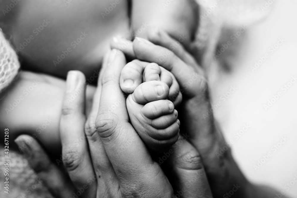 Children's feet in hold hands of mother and father on white. Mother, father and newborn Child. Happy Family people concept. Black and white. Children's feet in hold hands of mother and father on white. Mother, father and newborn Child. Happy Family people concept. Black and white.